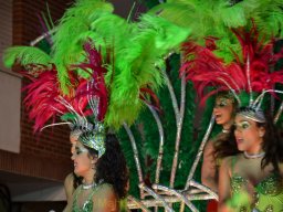 Carnaval de Mula 2012